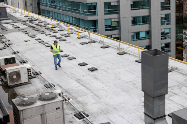 Best Roof Insulation Installation  in Waite Park, MN