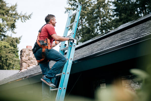Best Skylight Installation and Repair  in Waite Park, MN